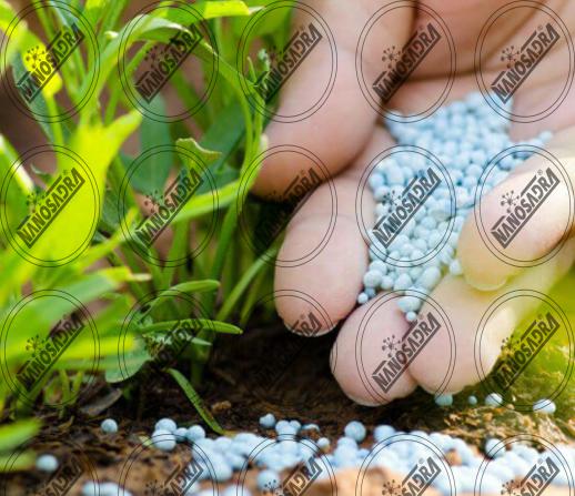 Nano-fertilizers and Their Smart Delivery System