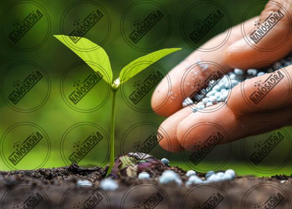  What is nanotechnology fertilizer?