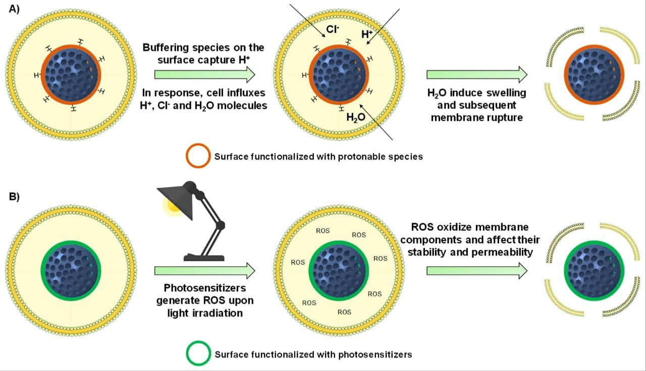 mesoporous silica nanoparticles with 20-nm-size - Sadra Nano