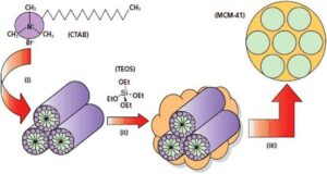 mesoporous silica nanoparticles