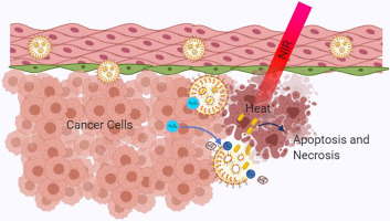 Targeted Photodynamic Therapy