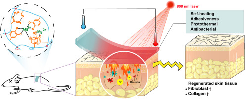 Chitosan Nanoparticles in Skin Wound Healing