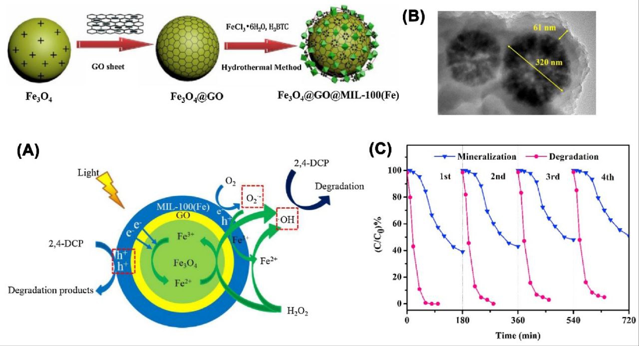 Amine-Functionalized Fe3O4 Nanoparticles in Environmental Remediation