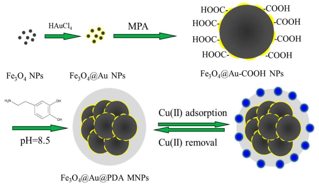 Fe3O4 Nanoparticles Water Purification Applications