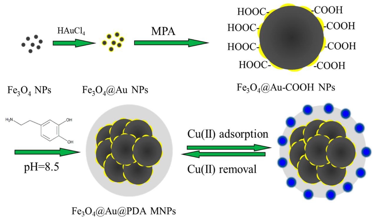 amine functionalized fe3o4 nanoparticles for export buy - Sadra Nano