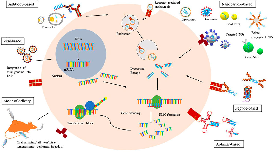 advances of nanoparticles as drug delivery systems for disease diagnosis and treatment